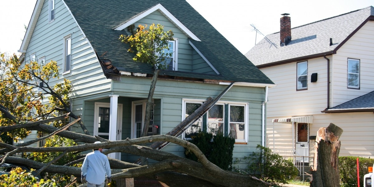 Houston Hurricane Protection Hurricane Window Protection Options